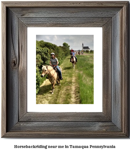 horseback riding near me in Tamaqua, Pennsylvania